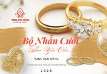 bo-vang-cuoi-2025