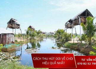 cach-thu-hut-doi-ve-choi-hieu-qua-nhat