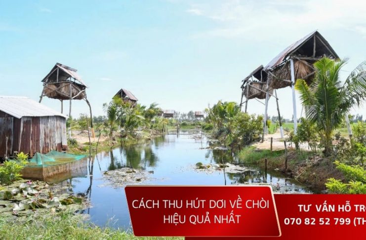 cach-thu-hut-doi-ve-choi-hieu-qua-nhat
